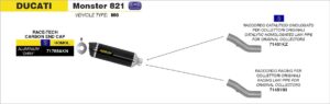 ducati monster 821 2014 2015 2016 2017 arrow exhaust