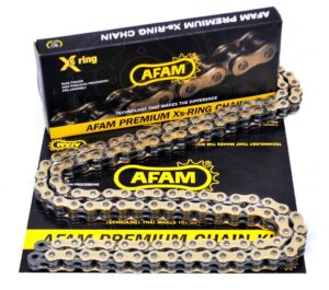 gold x ring chain.jpg