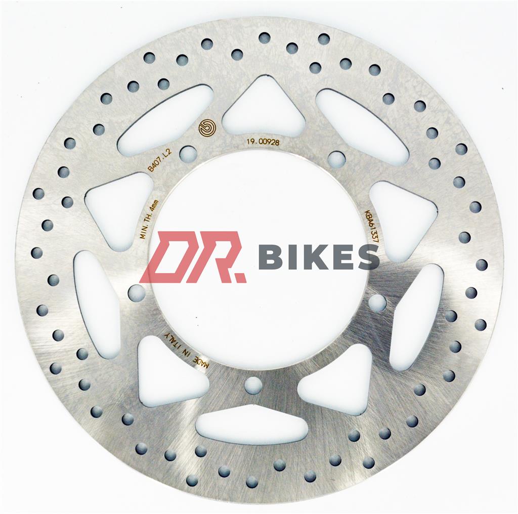 Kawasaki Z300 Roadster ABS 2015 + Brembo Serie Oro Fixed Front Disc