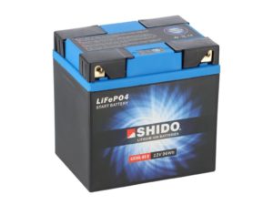 lix30l bs q lion s .jpg