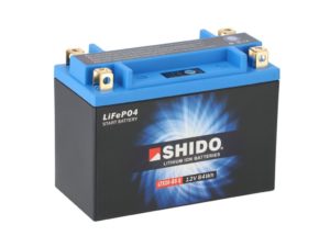 ltx20 bs q lion s .jpg