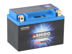 ltx20ch bs lion s .jpg