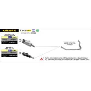 kawasaki versys x 300 2017 2018 2019 2020 arow exhaust (copy)