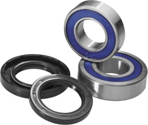 rear wheel bearings