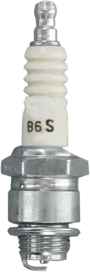 b6s 01