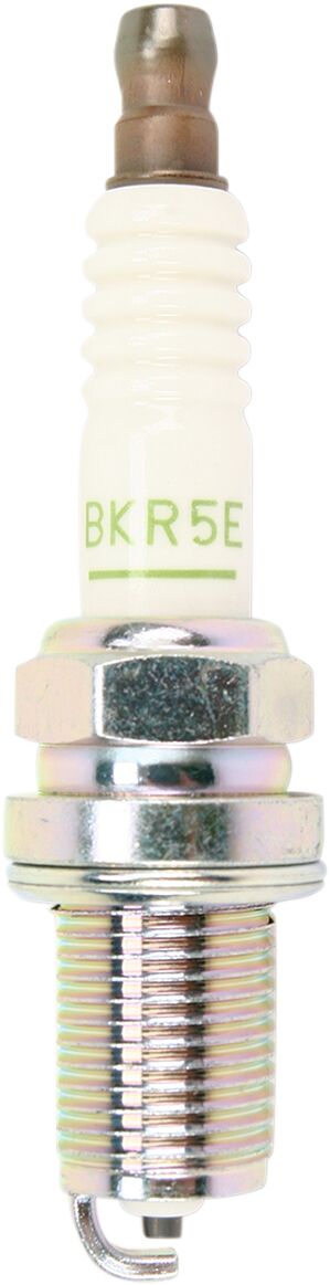 bkr5e 01