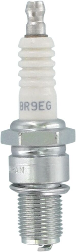 br9eg 01