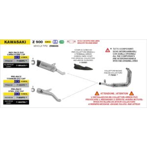 kawasaki z900 euro 5 2025 arrow exhaust