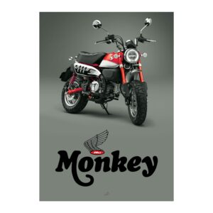 mp100r