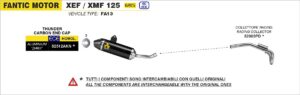 Fantic XEF/XMF125 2023 2024 Arrow Exhaust